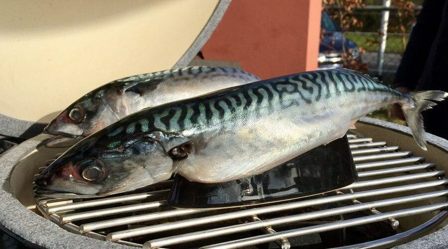 big-green-egg-koud-roken-cold-smoke-generator-1