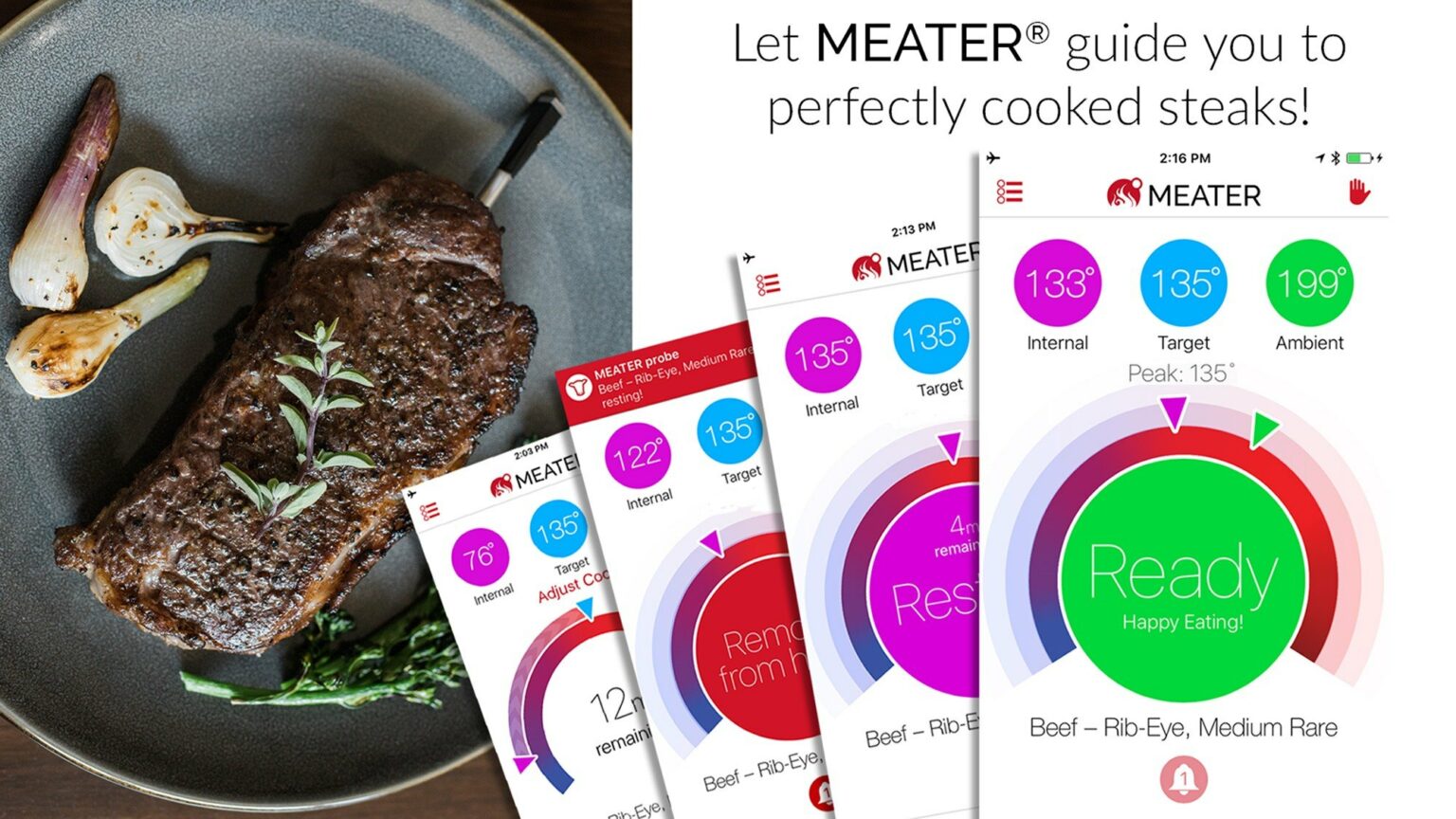 Meater plus+ (50 meter)