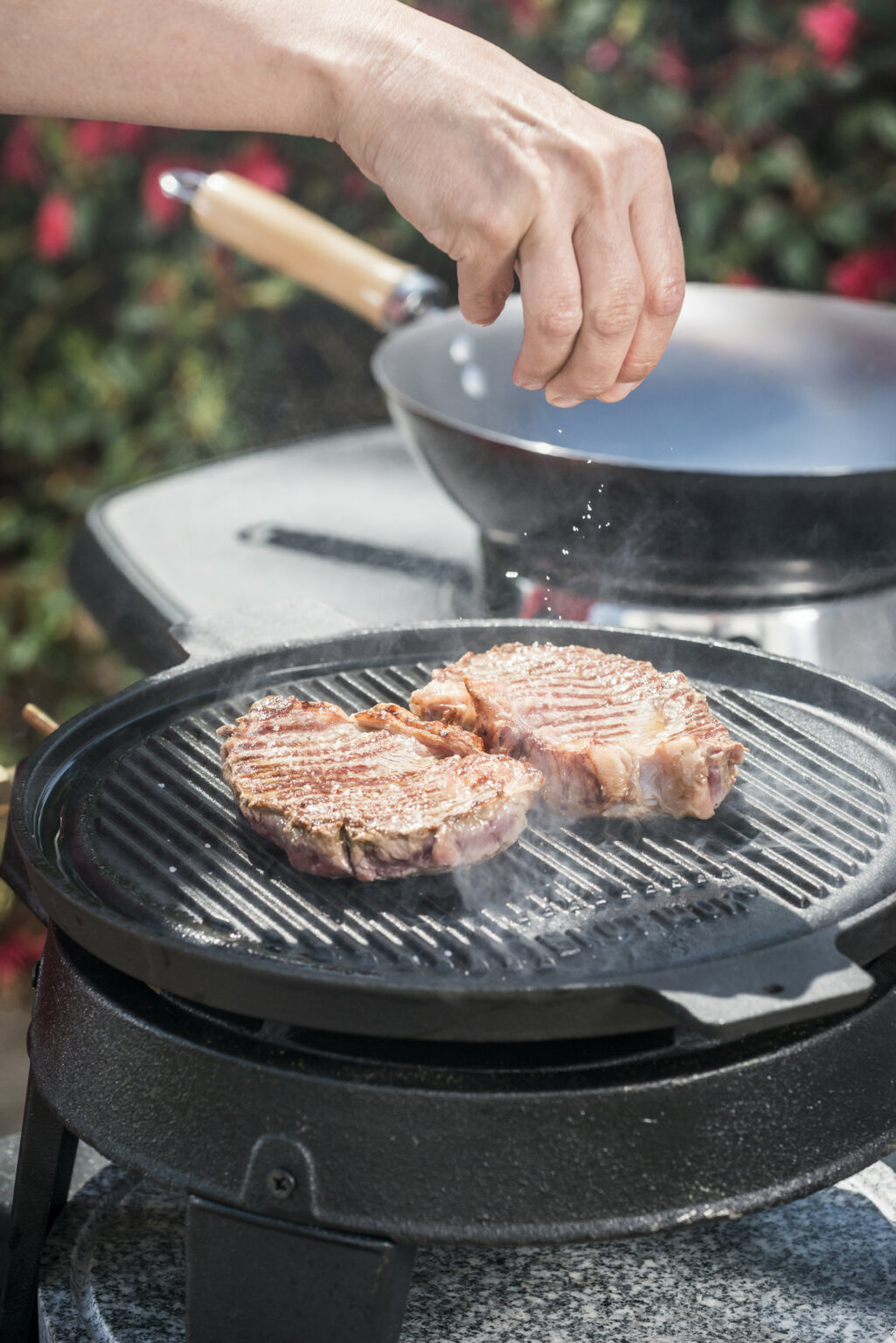 Hot Wok Grill Pan