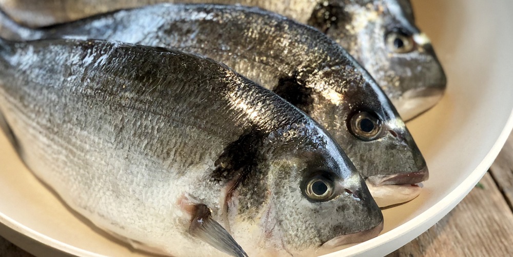 Noord-Afrikaanse dorade met chermoula