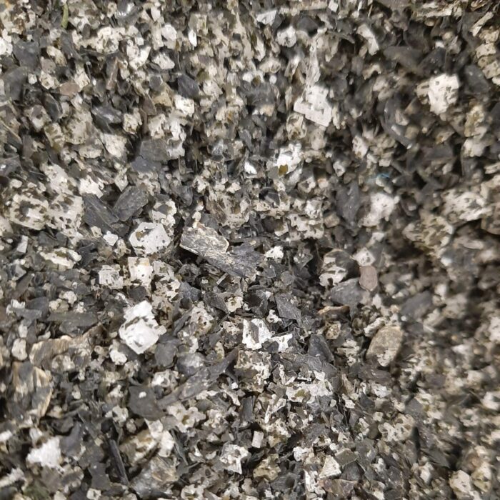 zeeuwsche-zoute-wakame-zeezout